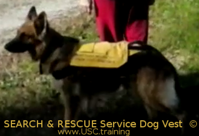 Search & Rescue Service Dog Vest