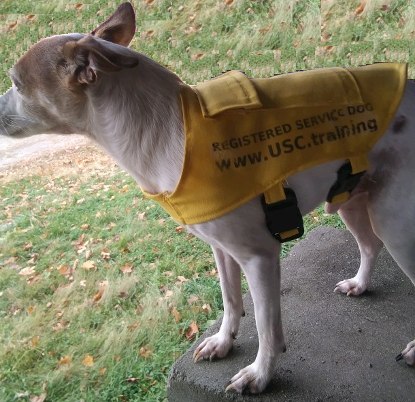 Light weight Service Dog Vest